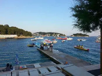 Tea Hvar Town
